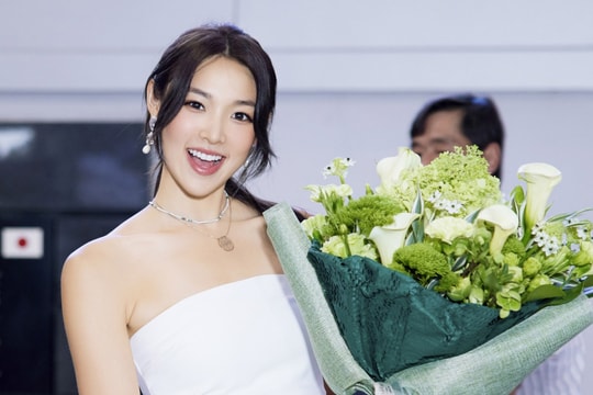 Hoa hậu Trái đất Mina Sue Choi đến Việt Nam